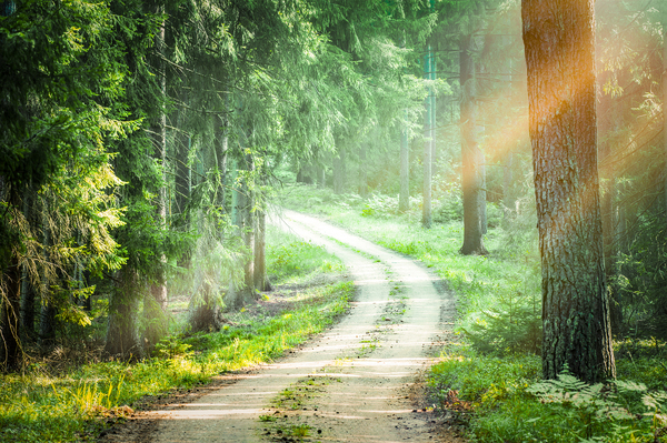 Addiction recovery