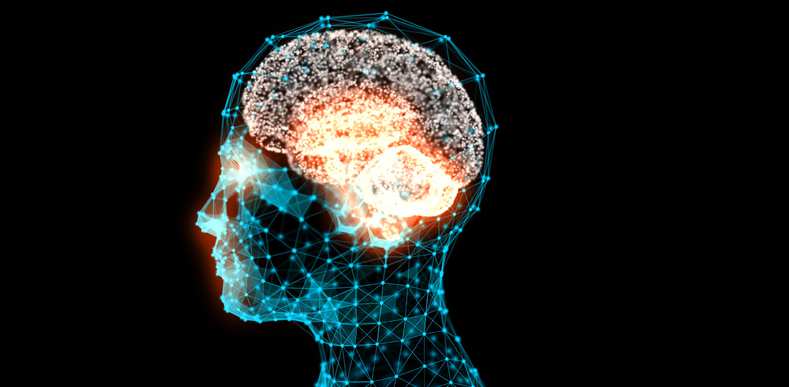 illuminated image of brain