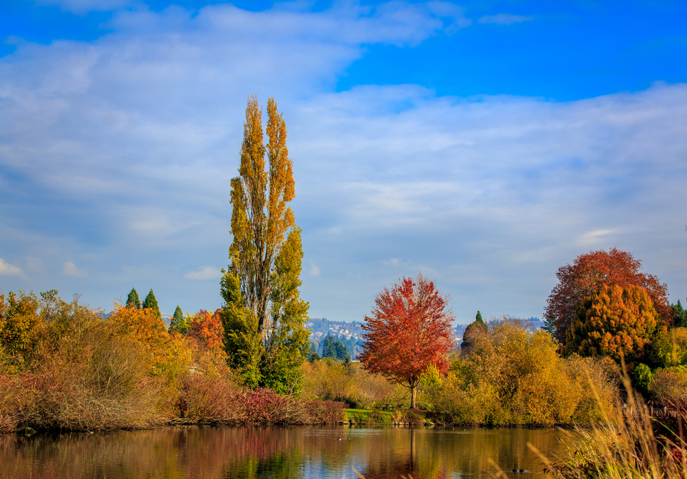 beaverton oregon