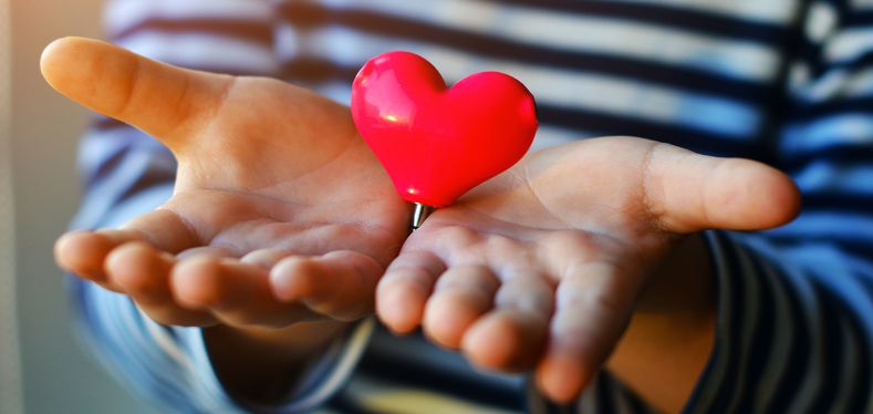 person holding heart between hands