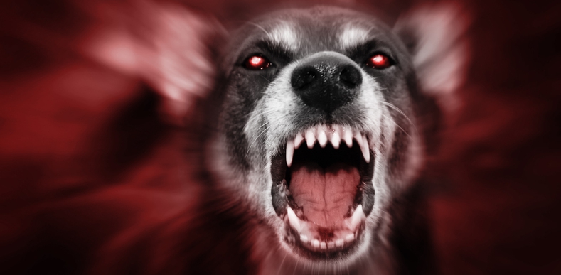 Meds With Therapy Calm Aggression In >> Aggression And Addiction Co Occurring Problems In Washington State Meds With Therapy Calm Aggression In >> Aggression And Addiction Co Occurring Problems In Washington State