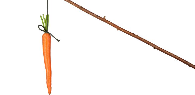 carrot dangling from a stick