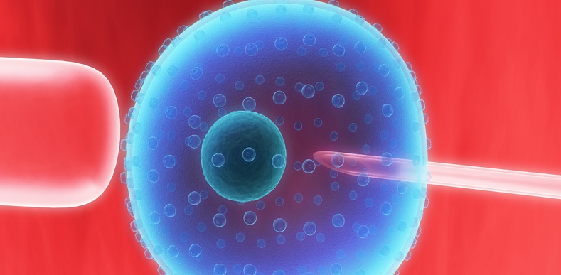close up of a stem cell