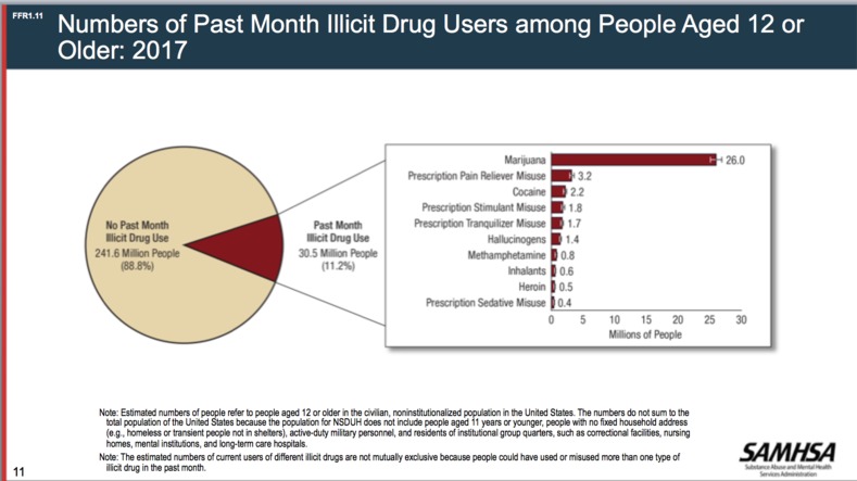 Pie chart depicting number of people who used drugs. 