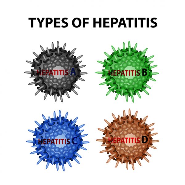 A cellular rendering or four types of hepatitis. 