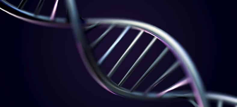 DNA strand