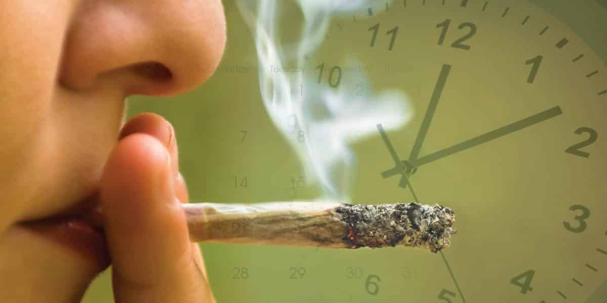 Person smoking a marijuana blunt